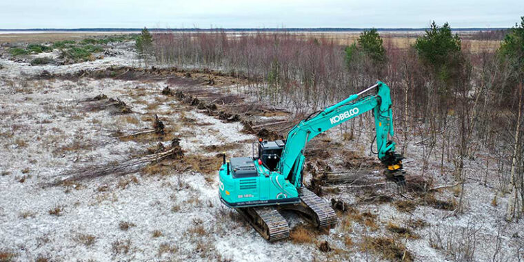 Telaketjuilla kulkeva metsätyökone kokoaa kaadettuja puita vierekkäin nipuiksi lähellä meren rantaa.