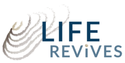 Life Revives -hankkeen tunnuksessa on tekstin lisäksi tyylitelty simpukka.