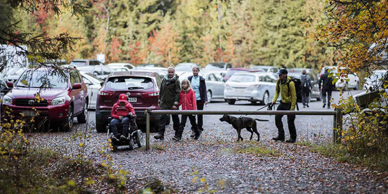 Människor går från en parkeringsplats till en bred stig in i skogen, en av dem använder rullstol.