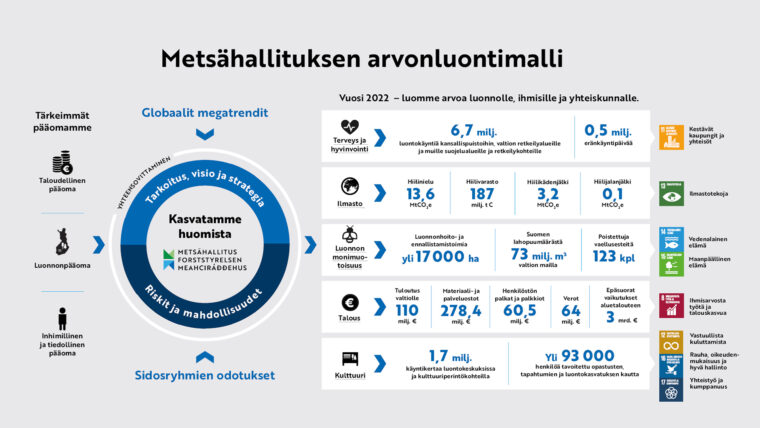 Metsähallituksen arvonluontimalli, jossa kuvataan strategian ja vastuullisuustyön kautta syntyvää arvoa.