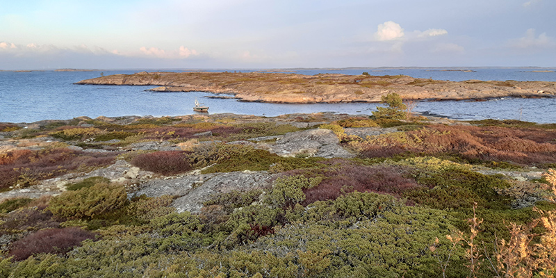 Matalia merenrantakallioita ja matalaa pensaskasvillisuutta, rannalla vene.