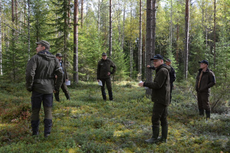 Henkil&ouml;it&auml; kes&auml;isess&auml; mets&auml;ss&auml;, jossa p&auml;&auml;osin m&auml;nty&auml; ja kuusialikasvosta.