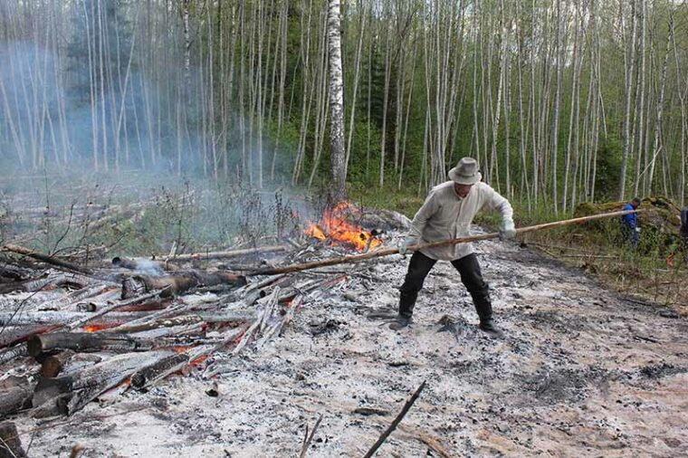 Perinteiseen pellavapaitaan ja nahkasaappaisiin pukeutunut mies seisoo tuhkassa ja vierittää palavaa kaskea eteenpäin pitkällä ja kapealla puun rungolla.