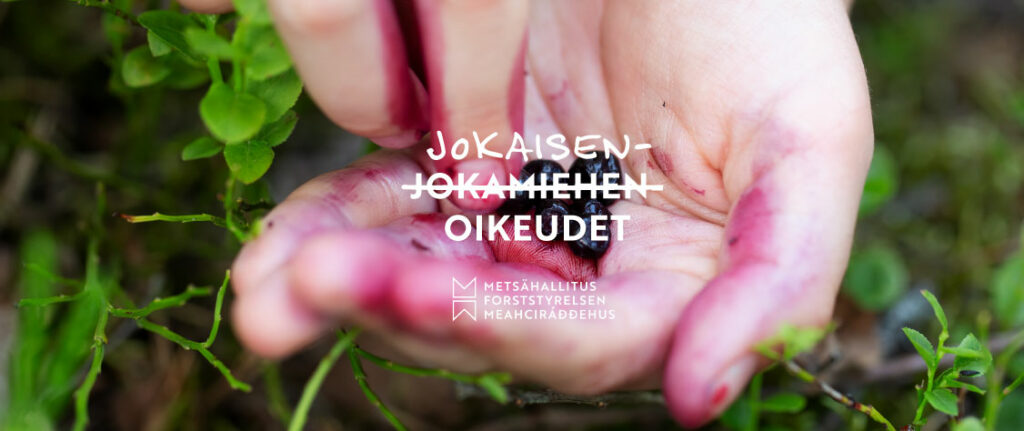 Käsi, joka pitelee mustikoita. Taustalla mustikanvarpuja. Kuvassa teksti "Jokamiehenoikeudet", josta on yliviivattu "jokamiehen". Alla Metsähallituksen logo.