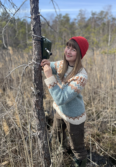 A person fastening a box with a string onto a thin tree at eye hight on a moss.