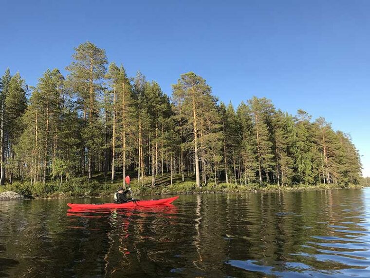 Retkeilijä kanootissa metsäisen saaren edustalla aurinkoisena kesäpäivänä.