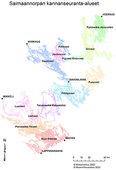 Kartassa on saimaannorpan kannanseuranta-alueiden sijoittuminen Saimaalla.