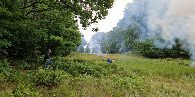 Människor på en ängesom är kantad av stora lövträd. Rök i luften. People on a meadow which is surrounded by big trees. Smoke in the air.