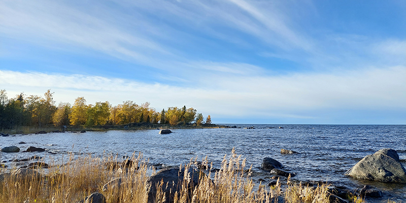 Låg stenig strand vid havet.