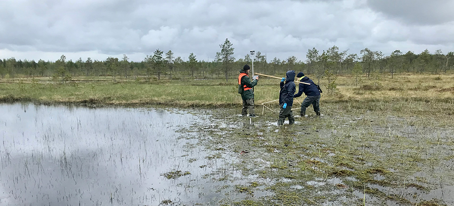 Kolme henkilöä suolla tekemässä tutkimustyötä.