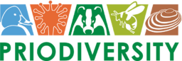 In the drawn logo of the Priodiversity project, the name of the project, as well as the Common pochard, the sundew, the badger, the bumblebee and the thick shelled river mussel.