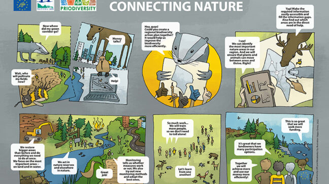 Nine drawn pictures. The image is below in pdf format and it also includes an alternative text.