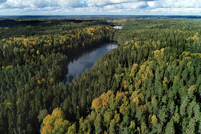 Ilmakuva, jossa näkyy metsää ja järvi.