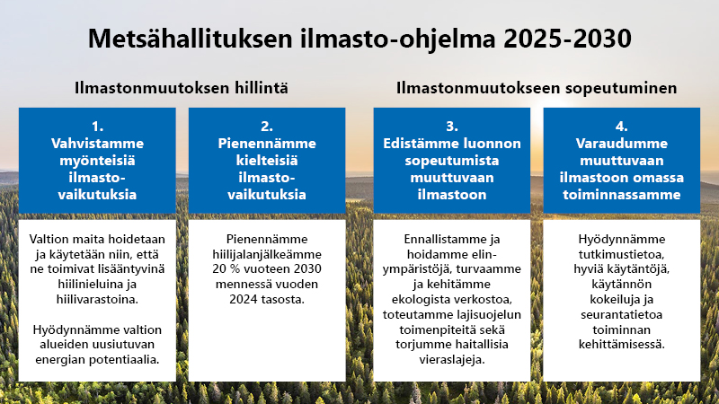 Kaaviossa on kuvattu Metsähallituksen ilmasto-ohjelman 2025-2030 tavoitteet ilmastonmuutoksen hillintään ja siihen sopeutumiseen.