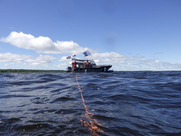 Vene vesill&auml;. Veneess&auml; on sinivalkoinen lippu.