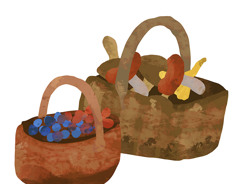 Two baskets, one filled with berries and the other with mushrooms.