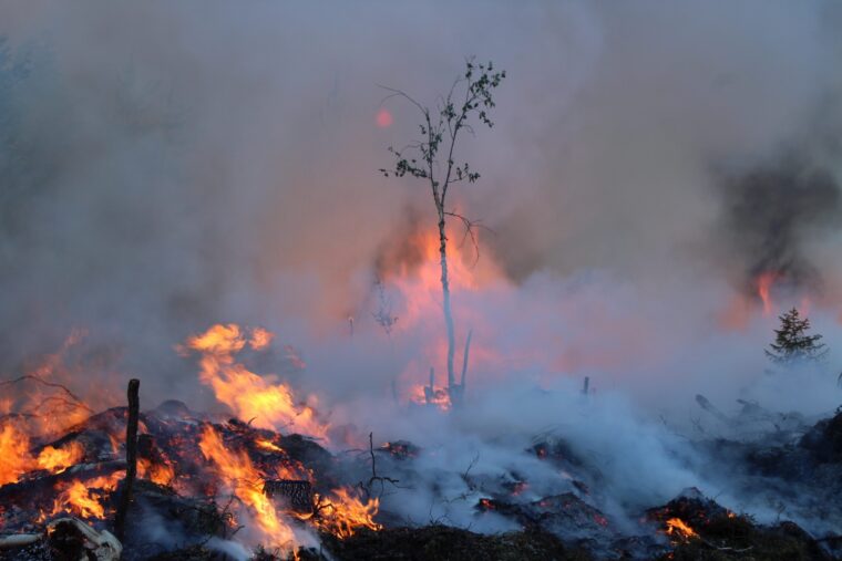 Tulta ja savua mets&auml;ss&auml;.