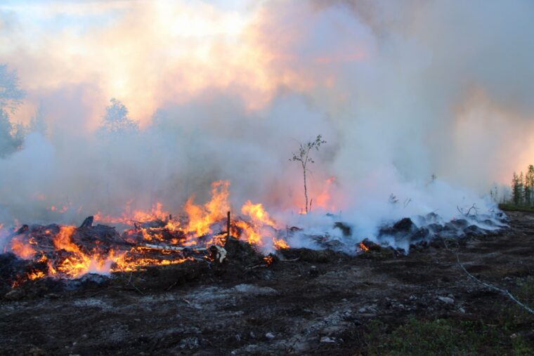 Tulta ja savua hakkuuaukealla.
