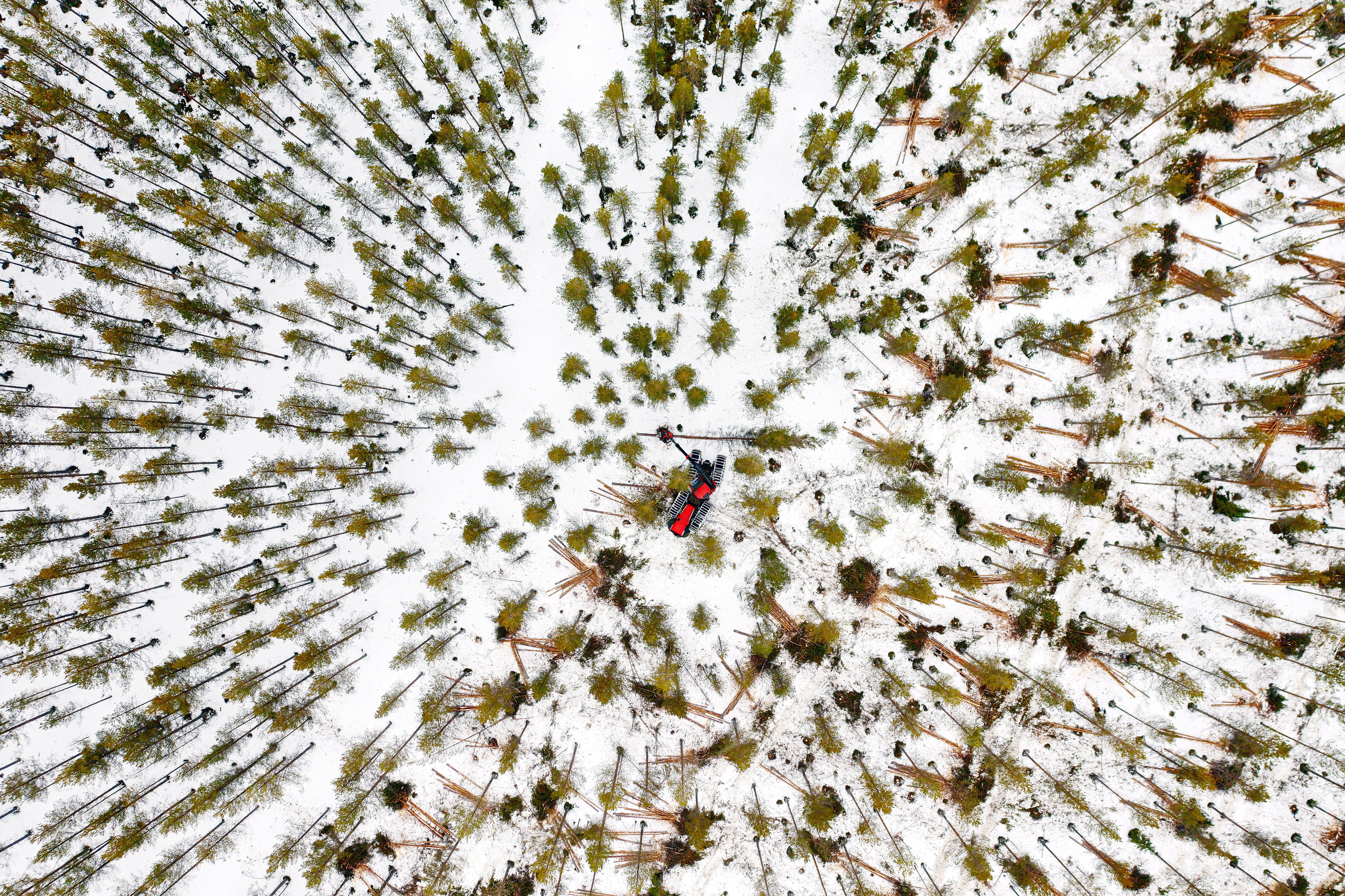 Ilmakuvaa hakkuusta.