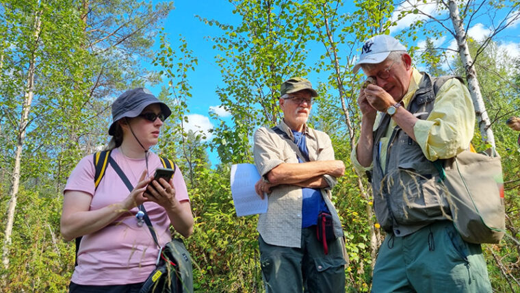 Kolme ihmist&auml; tutkii sammalia luonnossa.