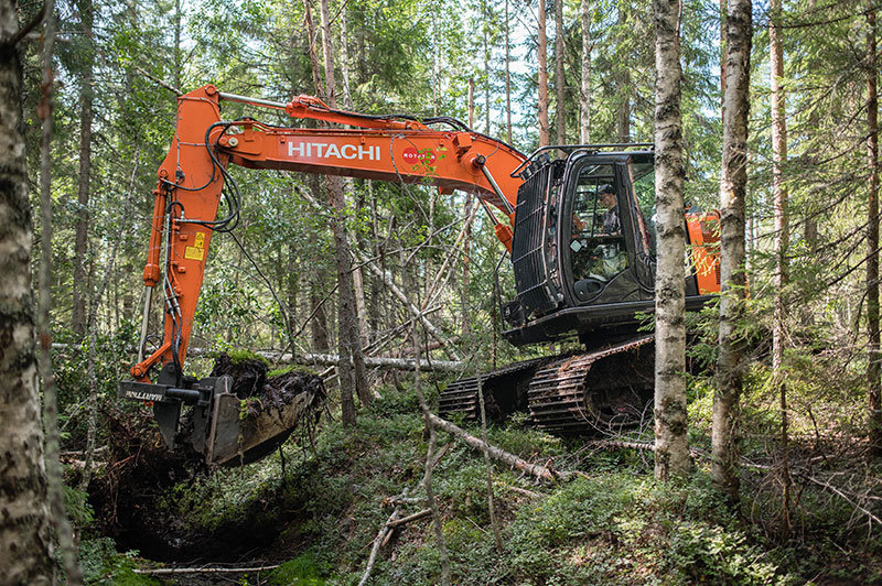 Kaivinkone töissä metsässä.