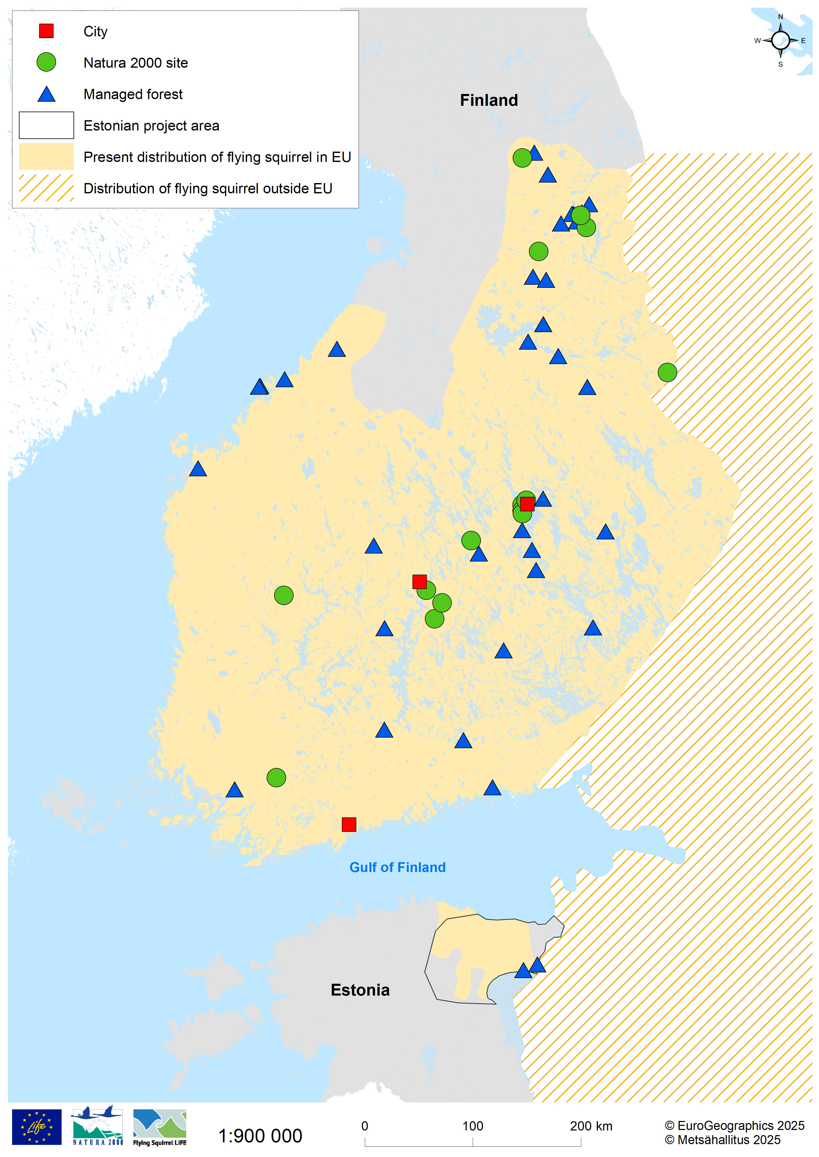 A map presenting the over 50 project sites and the distribution of the flying squirrel. In Finland, the species is found from south up to Central Finland and northeast, in Estonia in northeastern part of the country.