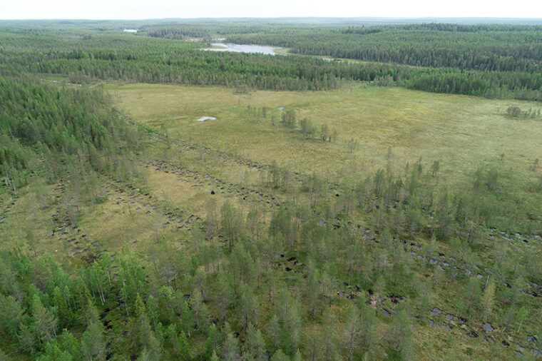 Suuri suo, jonka ympärillä kasvaa metsää. Suolla erottuvat vielä ojien tukkimisen jäljet.