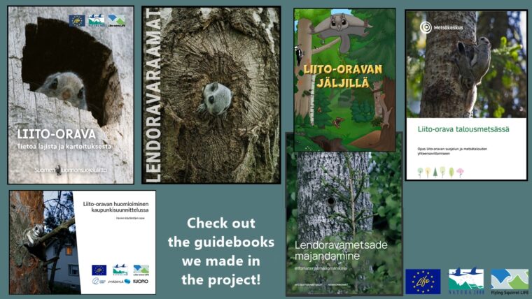 A picture collage of the cover photos of guidebooks made in the flying squirrel project.