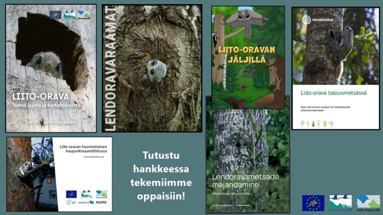 Kuvakollaasi, jossa on liito-oravahankkeissa tehtyjen oppaiden kansikuvia.