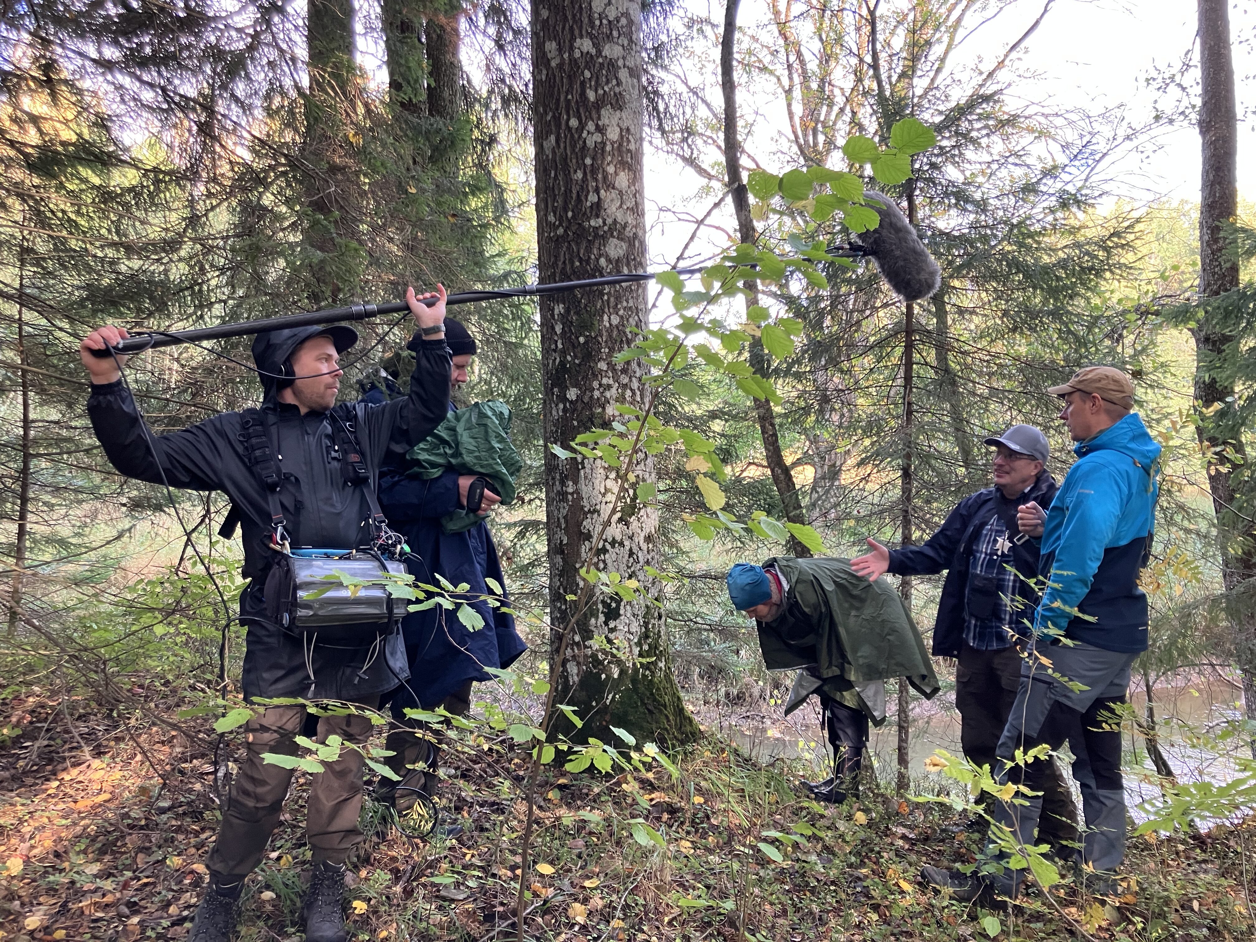 People standing and discussing in a forest.