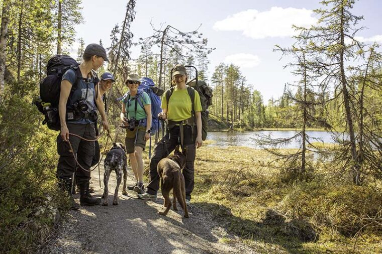 Neljä nuorta retkeilijää kahden koiran kanssa rantapolulla.