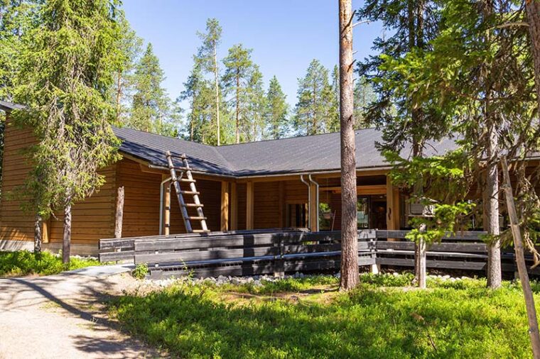 Hirsirakennus havumetsässä.