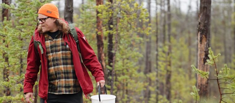 Punatakkinen marjastaja kulkee pitkospuilla valkoinen sanko k&auml;dess&auml; ja t&auml;hyilee suolle.