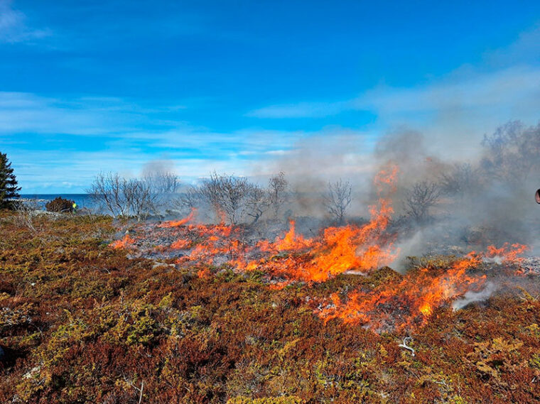 Meren &auml;&auml;rell&auml; oleva nummi palaa.