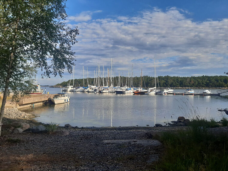 Rannasta päin otettu kuva satamalaiturista, jossa on useita purje- ja moottoriveneitä.