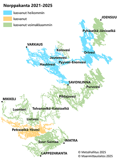 Kartalla ovat saimaannorpan kannanseuranta-alueet. Eri värillä on merkitty, onko kanta kasvanut vai pienentynyt kyseisellä alueella. Olennaisimmat tiedot on kerrottu tekstissä.