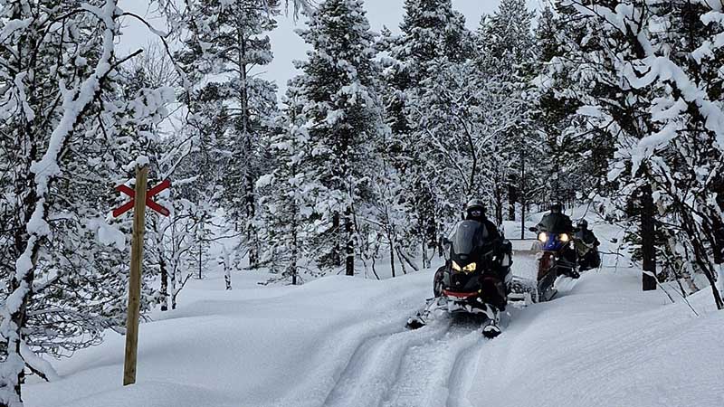 Moottorikelkkailijoita merkityllä uralla.