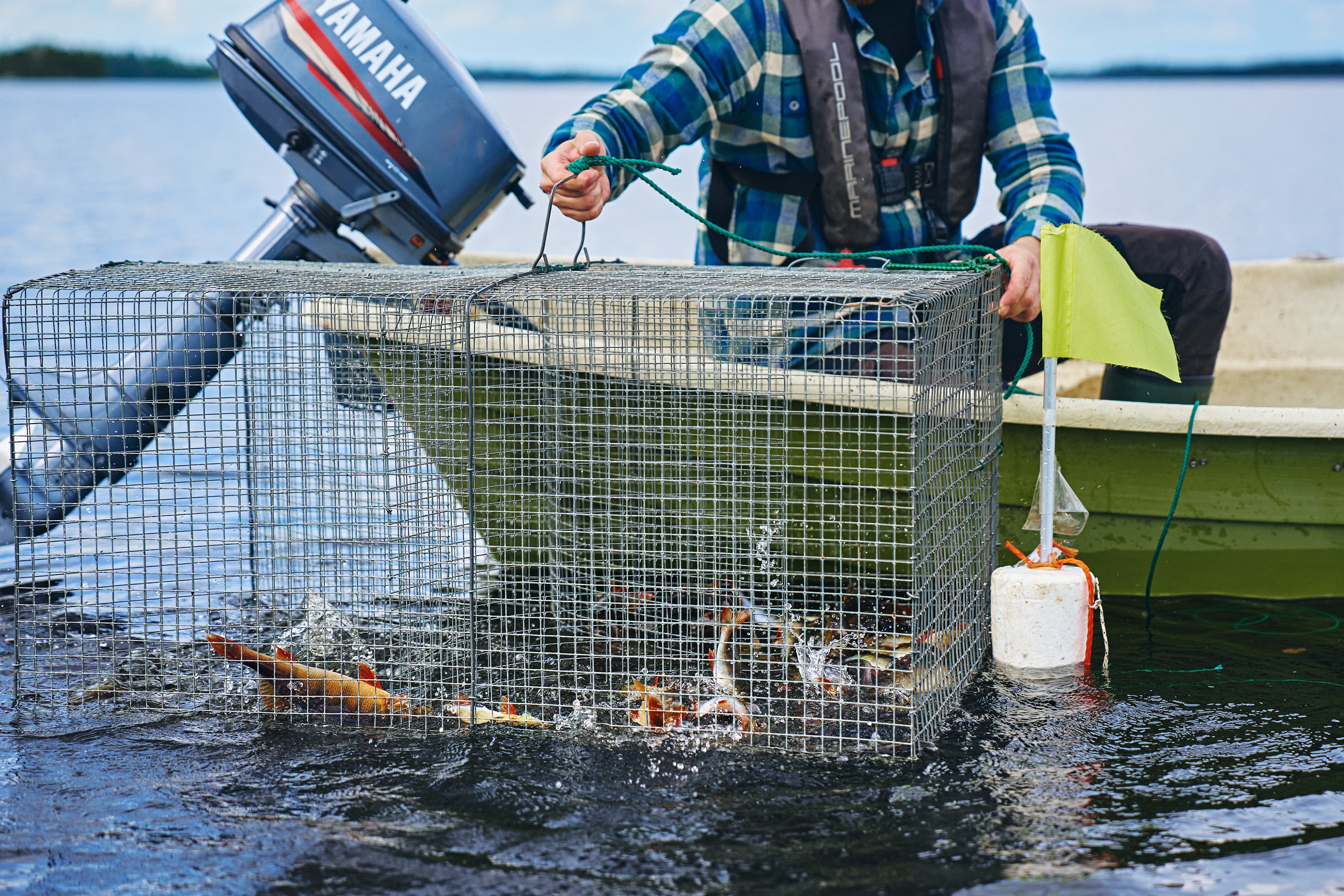 Veneessä istuva ruutupaitainen henkilö nostaa katiskaa vedestä.