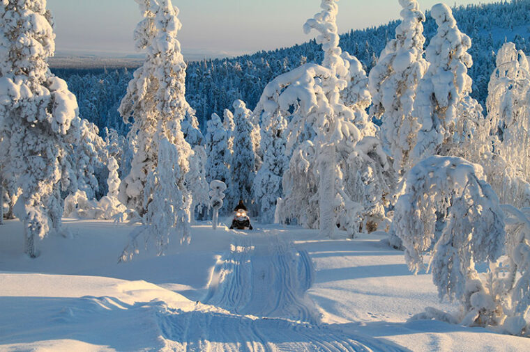 Moottorikelkkailija ajaa uralla tykkymets&auml;ss&auml;.