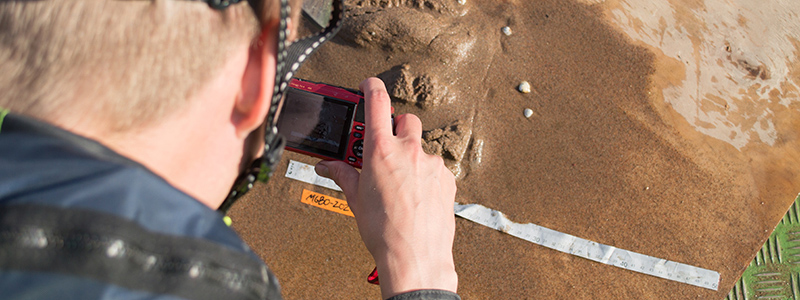 En forskare fotograferar sediment på Östersjöns strand.