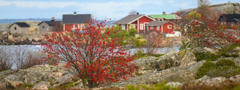 En liten by med låga, traditionella hus på en klippig ö.