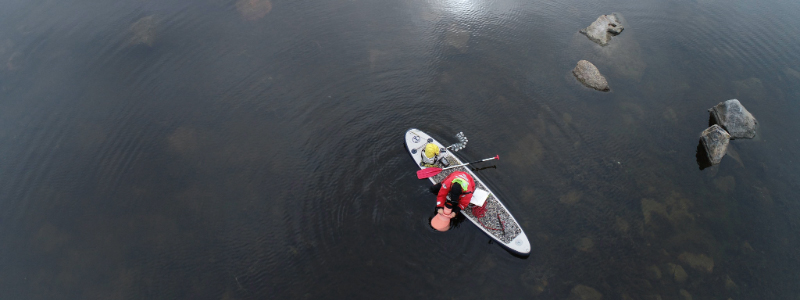 A paddleboarder seen from above examines the seafloor with a water scope.