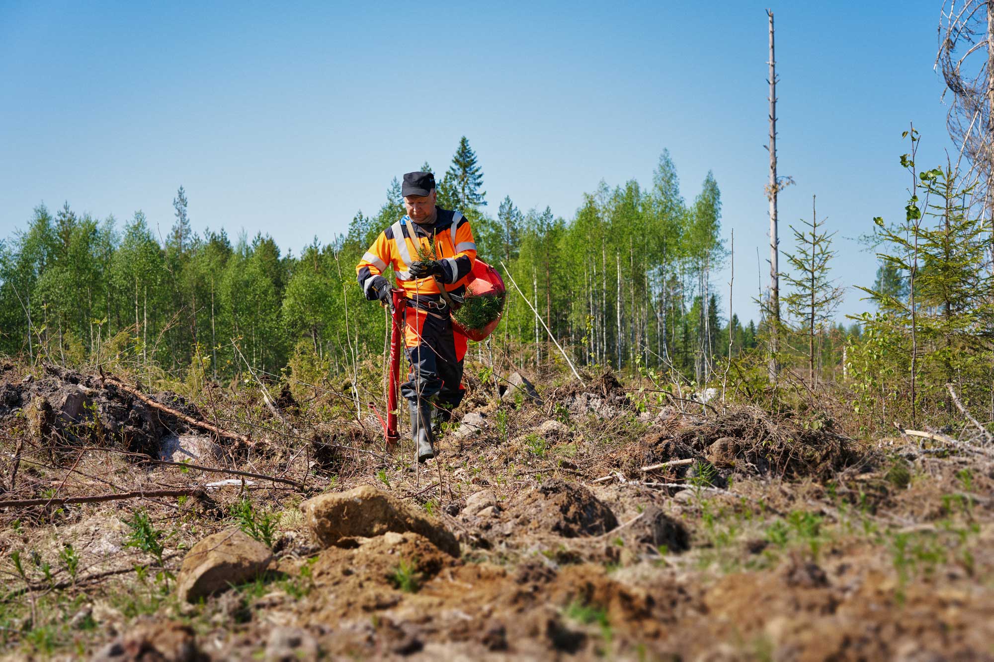 Henkilö istuttamassa taimia muokatulla alalla.