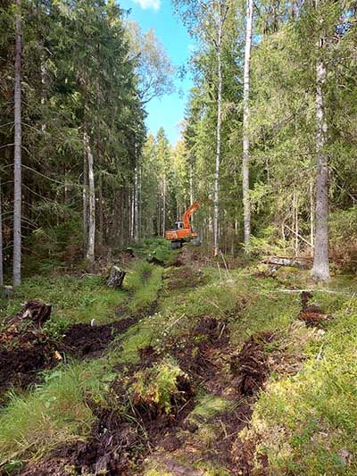Kaivinkone työssä metsässä olevalla aukolla.