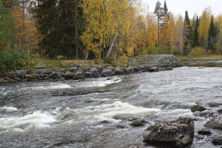 Virtaavaa vett&auml;, taustalla syksyinen mets&auml;.
