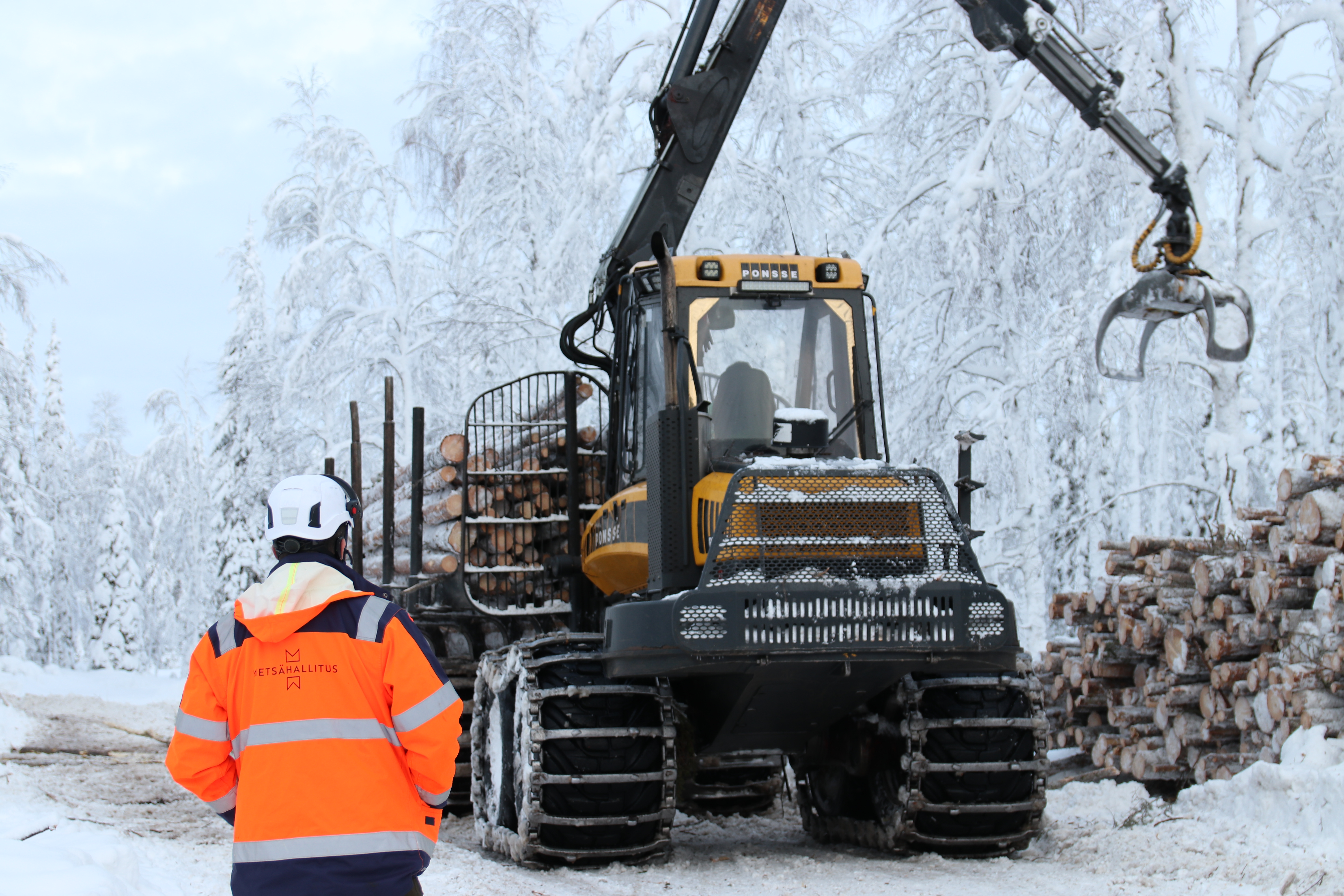 Etualalla henkilö huomiovärinen takki päällä, taaempana ajokone ja puupino talvisessa metsässä.