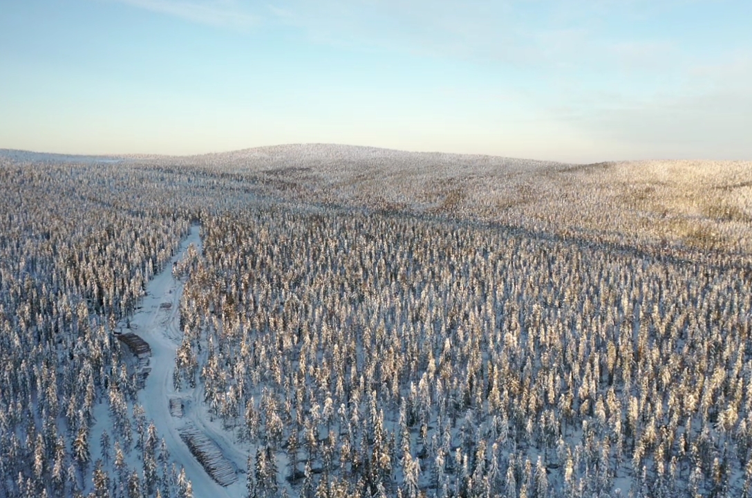 Ilmakuva lumisesta metsästä jossa on tehty harvennushakkuita, metsän läpi kulkee tie ja puupinoja.