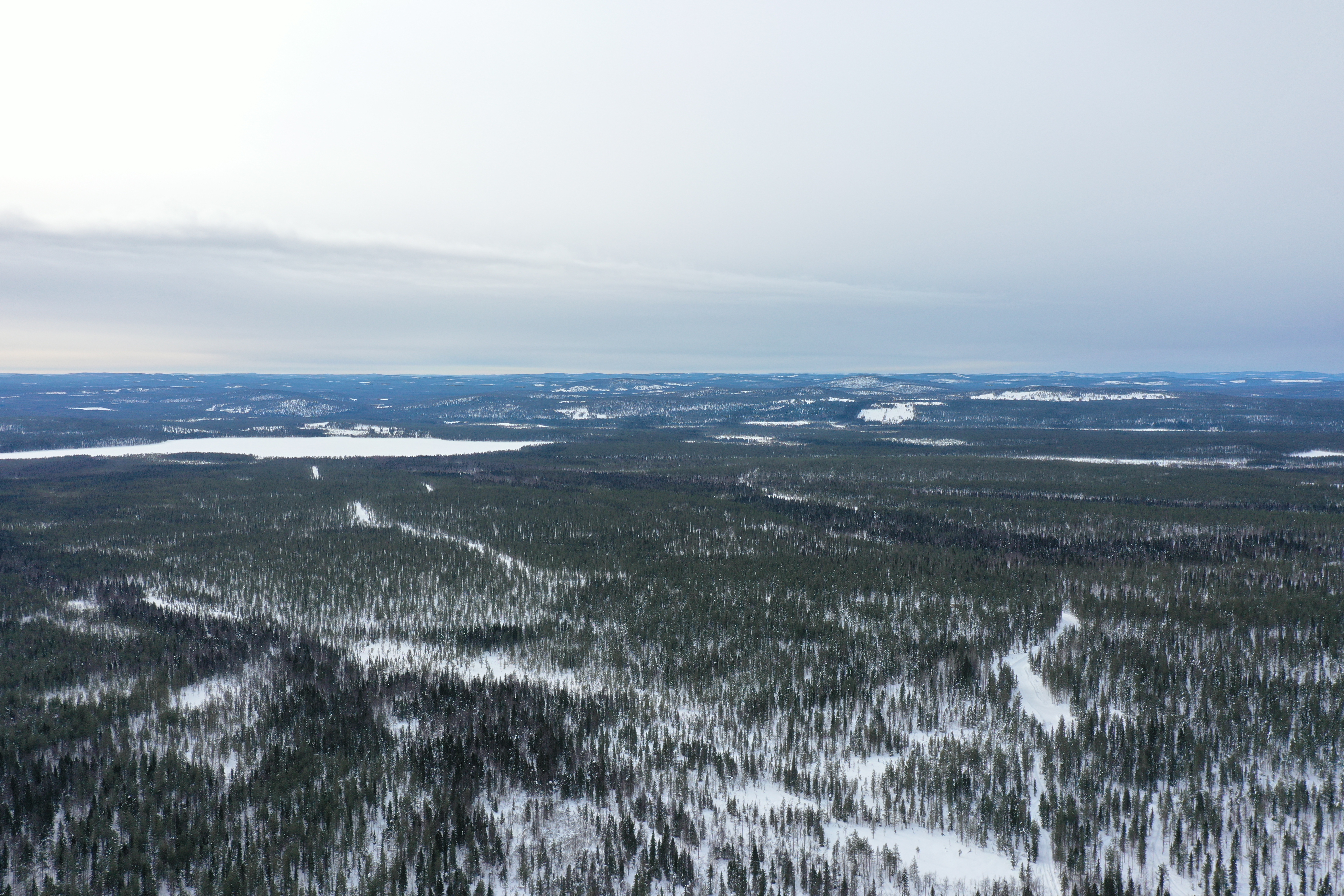 Ilmakuva lumisesta havupuumetsästä, jossa näkyy taaempana myös järvi valkoisena.