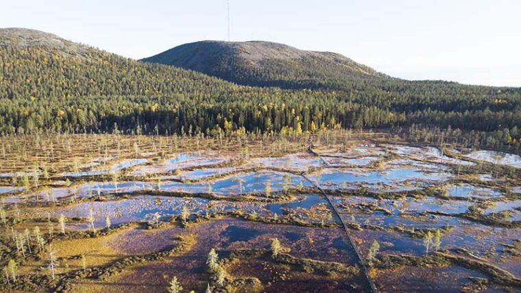 Taivas heijastelee aapasuon vetisestä pinnasta, jota halkovat pitkospuut. Taustalla näkyy kansallispuiston tuntureita.