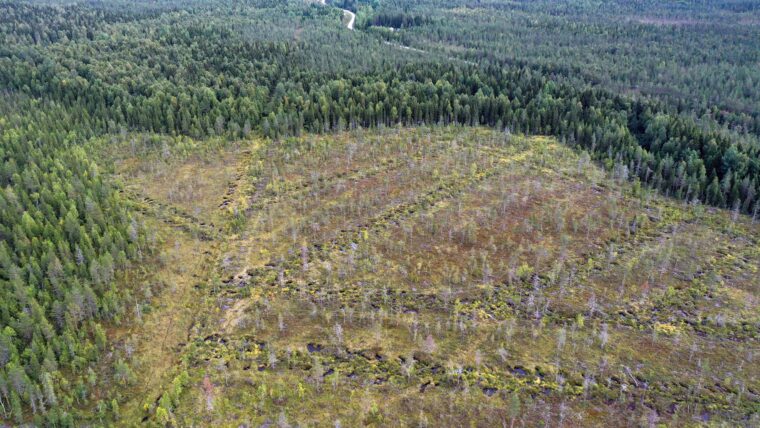 Ilmakuvaa soiden ennallistamisalueelta jossa ojalinjoja täytetty.